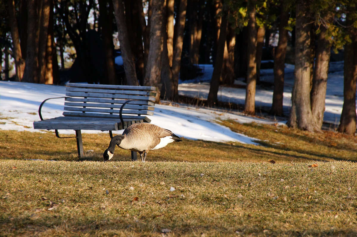 �� ������ �������� ����� �������  �� PhotoGeek.ru #�������� ���