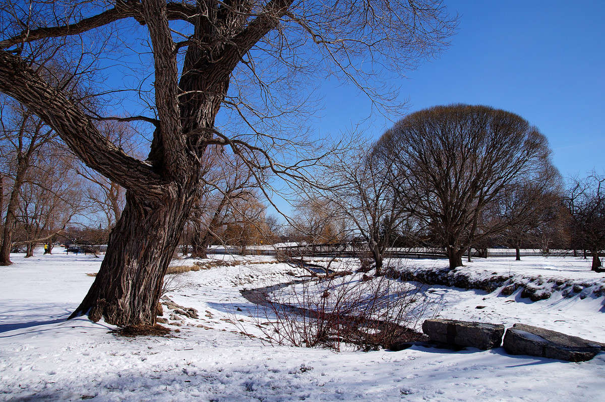 ���� ����� ������ ����� ����� �������  �� PhotoGeek.ru #������ ��� �������