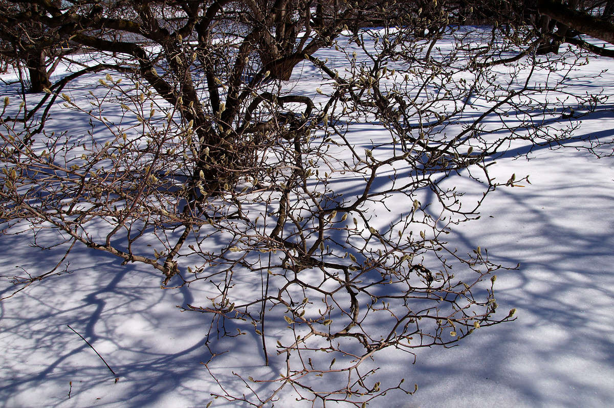 ��������� ����� �������  �� PhotoGeek.ru #������ ��� �������