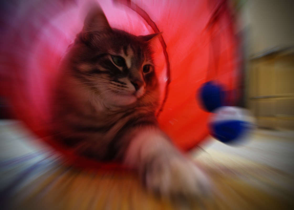 Ÿ ����������� ����� �������  �� PhotoGeek.ru #�������� ���