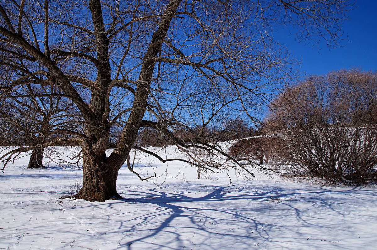 ��� �������� �������� ���� ������� ����� �������  �� PhotoGeek.ru #������ ��� �������