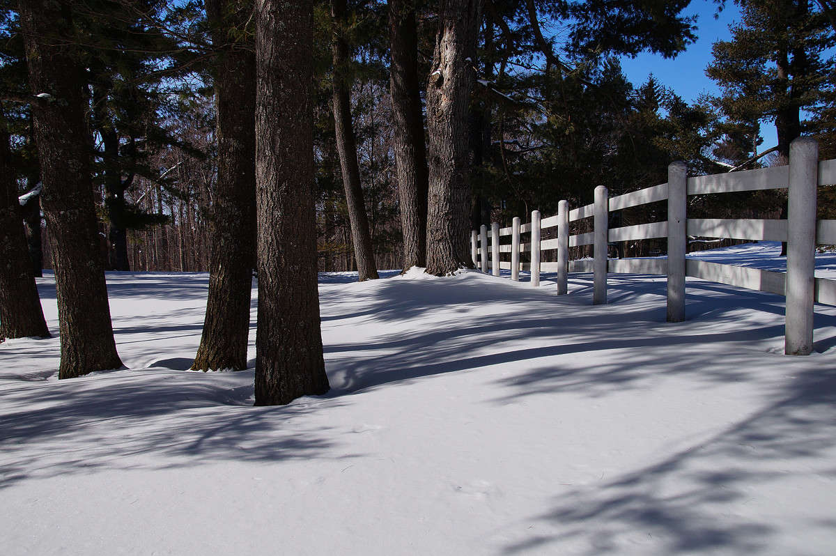 ����������� ������� ����� �������  �� PhotoGeek.ru #������ ��� �������