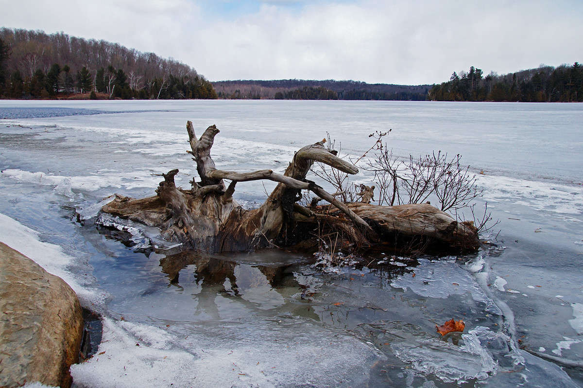 ������� ������ ����� �������  �� PhotoGeek.ru #������ ��� �������