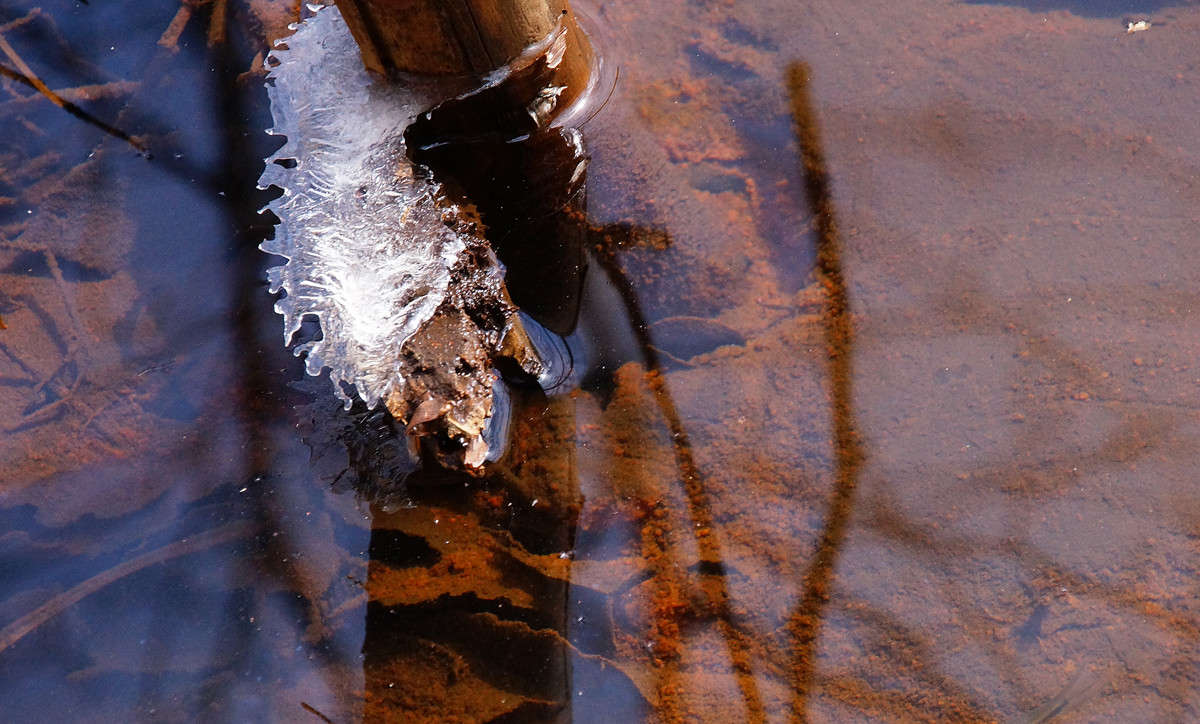 �������� ����� ��������� ����� �������  �� PhotoGeek.ru #������ ��� �������