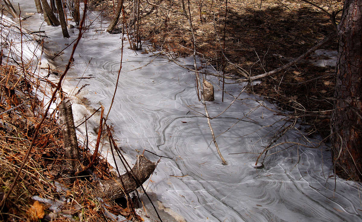 ��������� ���� ����� �������  �� PhotoGeek.ru #������ ��� �������