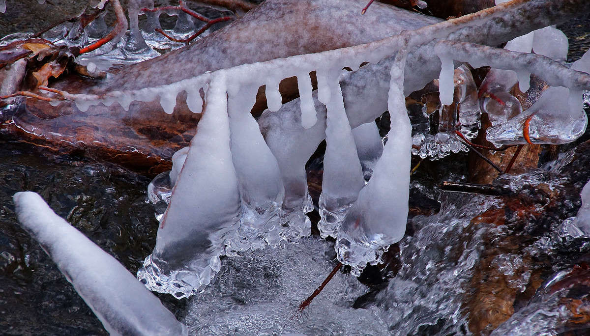 ������ ����� �������  �� PhotoGeek.ru #������ ��� �������