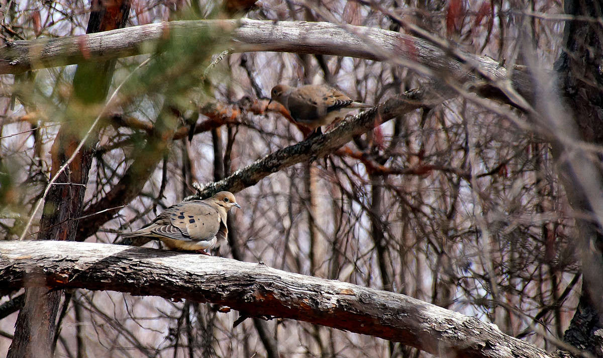 �������� ��������� ����� �������  �� PhotoGeek.ru #�������� ���