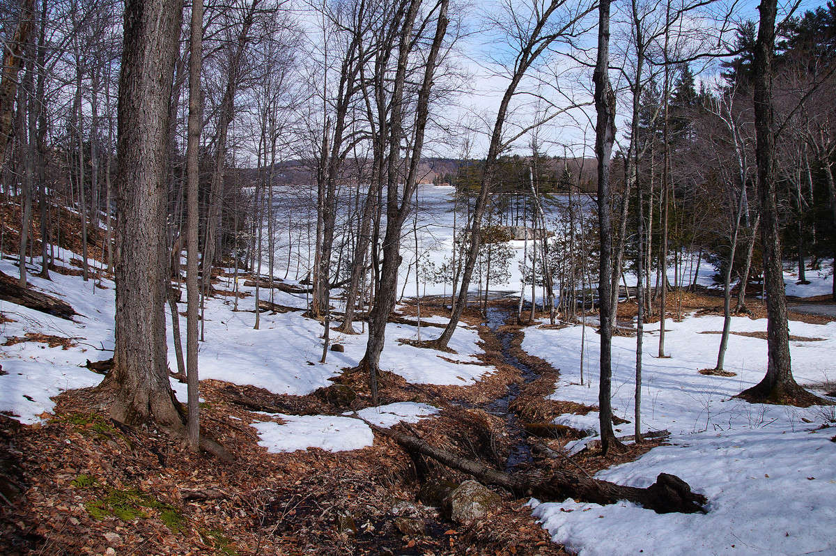 ����� �������� �������� ����� �������  �� PhotoGeek.ru #������ ��� �������