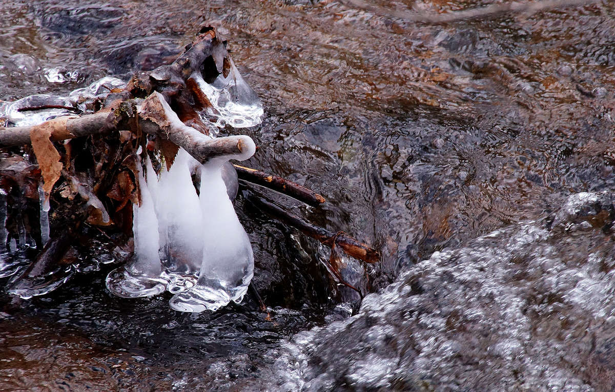 ����������� ������� ����� �������  �� PhotoGeek.ru #������ ��� �������