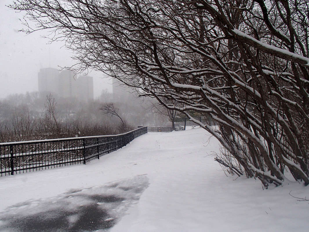 ��������� ������ ����� �������  �� PhotoGeek.ru #�����