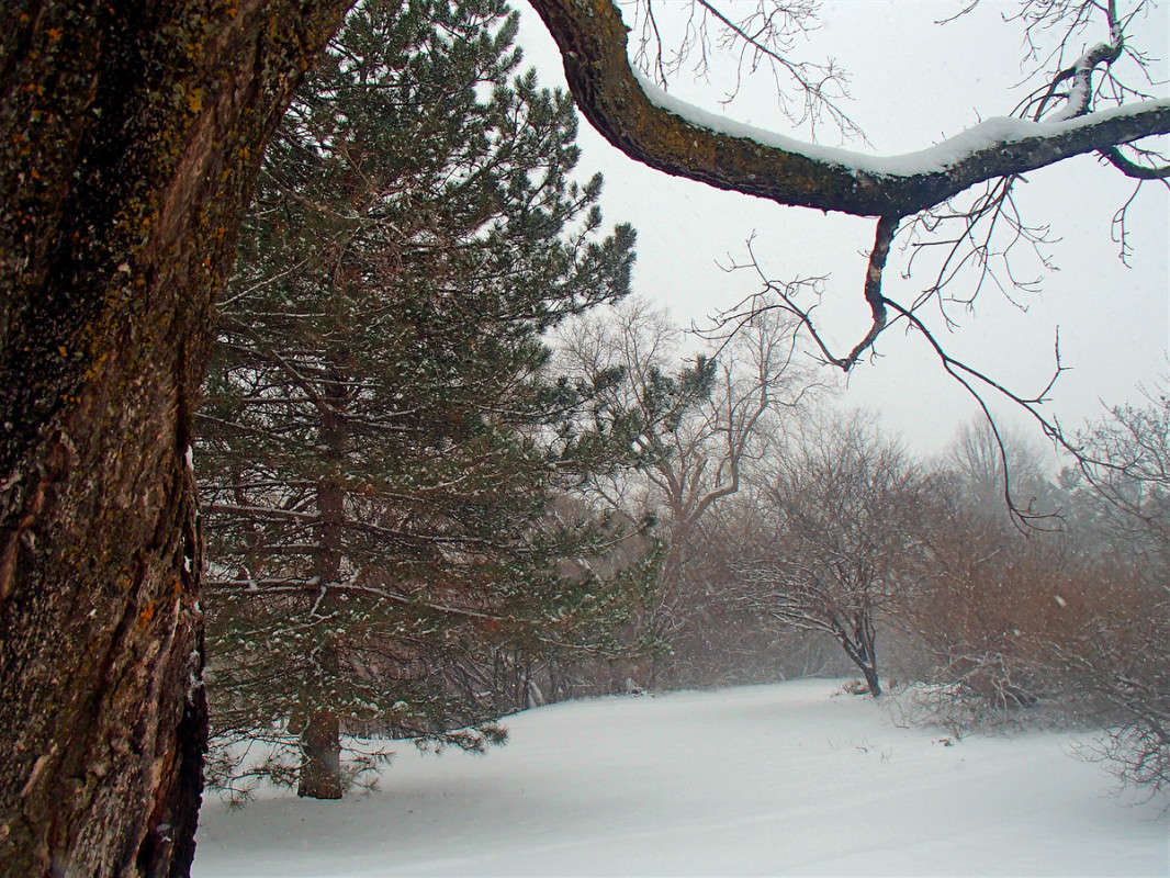 ���������� ������� ����� �������  �� PhotoGeek.ru #������ ��� �������