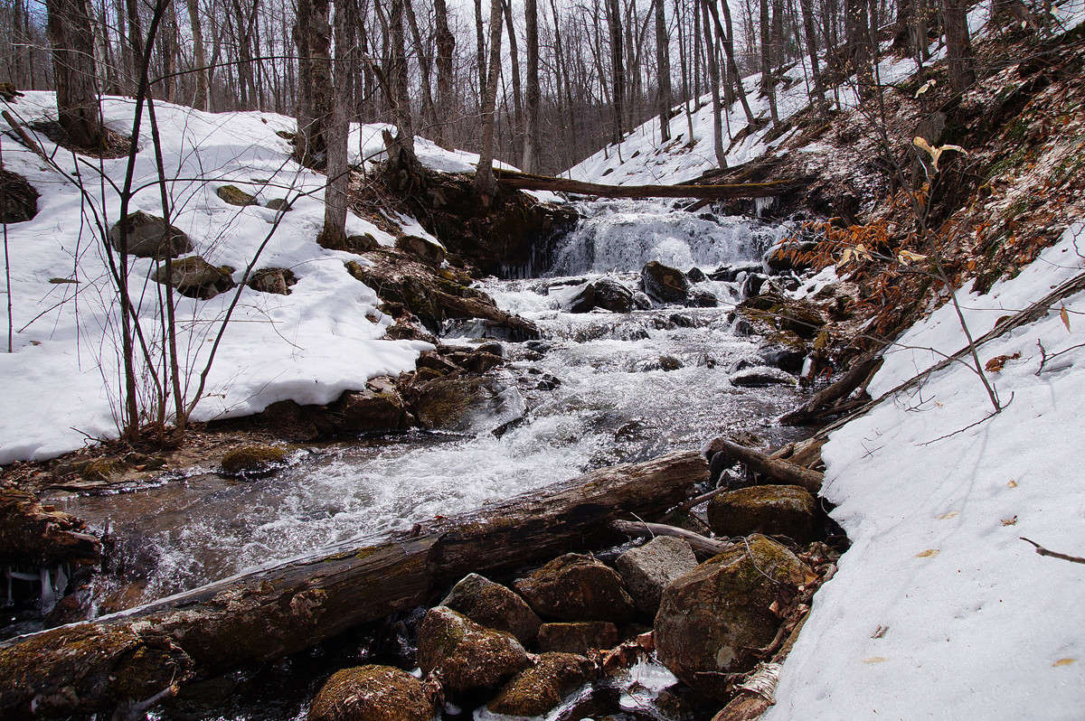 ����������� ������ ������ ����� �������  �� PhotoGeek.ru #������ ��� �������