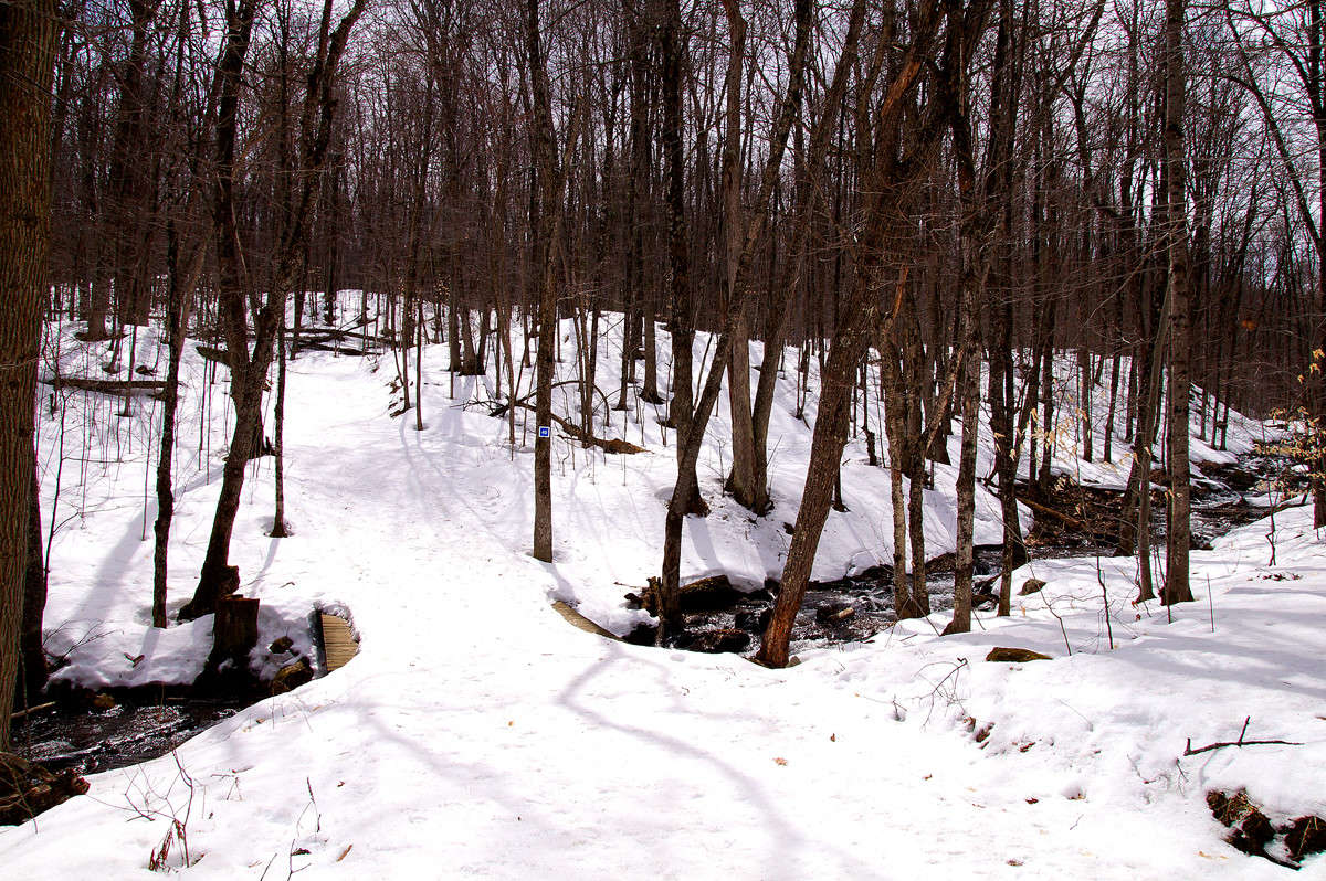 ��������� ������ ����� �������  �� PhotoGeek.ru #������ ��� �������