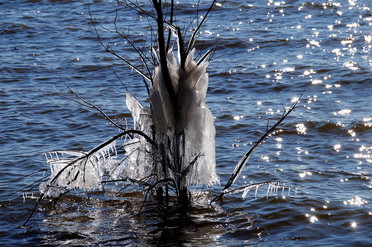 ����� ��������� ����� �������  �� PhotoGeek.ru #������ ��� �������