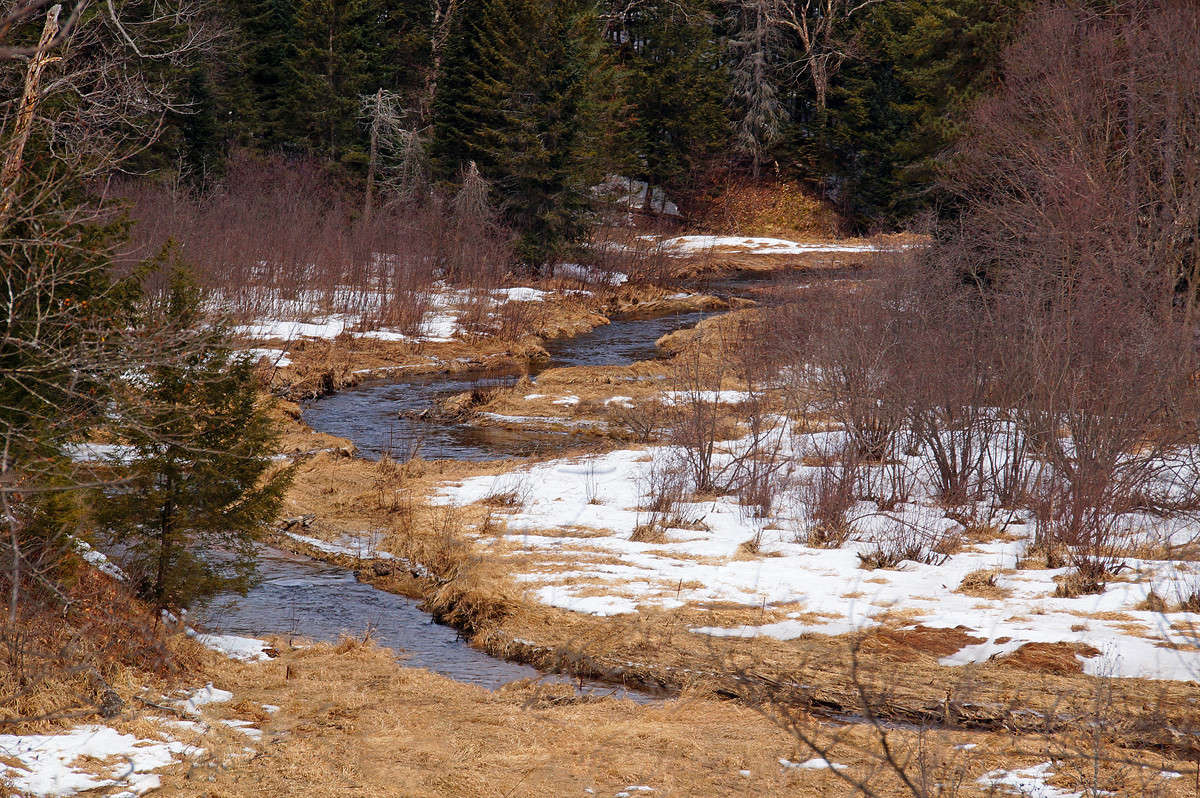 ����� ������� ����� ����� ������ ����� �������  �� PhotoGeek.ru #������ ��� �������