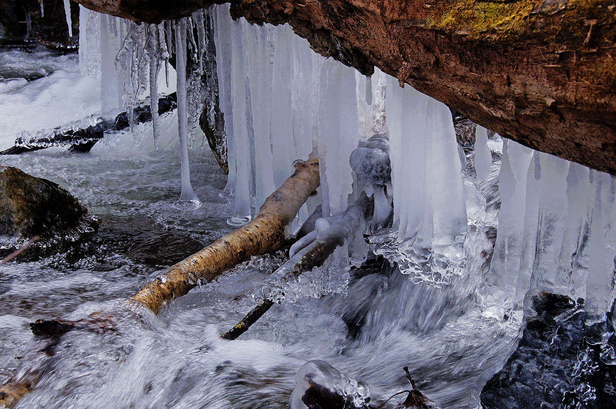 ������������� � ����� ����� �������  �� PhotoGeek.ru #������ ��� �������