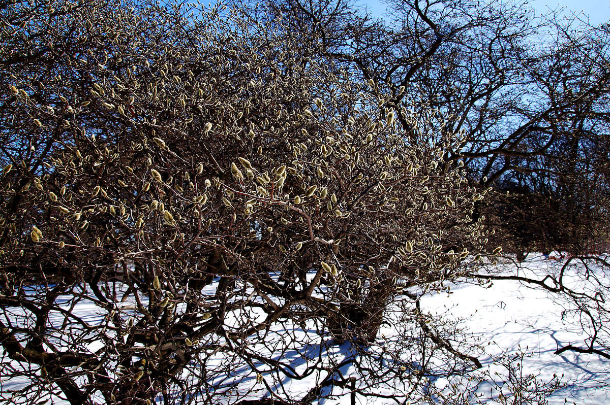 ����������� ����� �������  �� PhotoGeek.ru #������ ��� �������