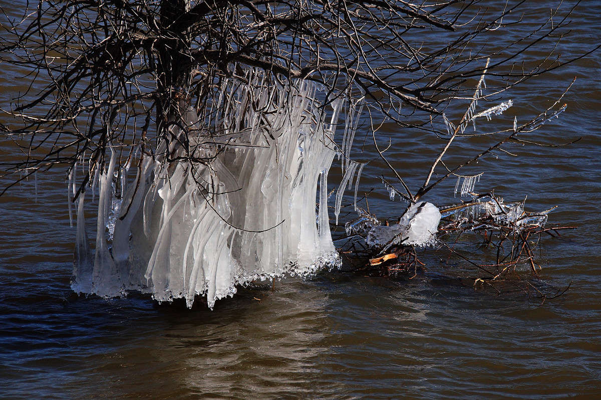 ������� ������ ����� �������  �� PhotoGeek.ru #������ ��� �������