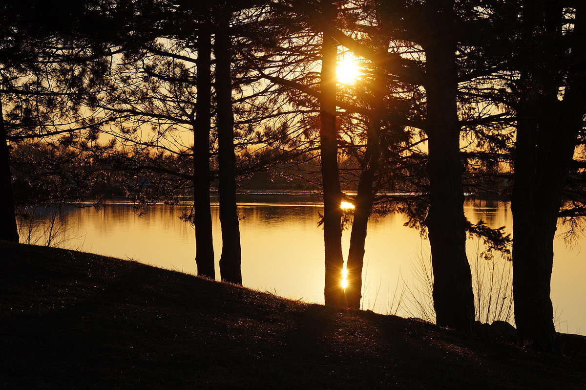 ��� � �� ����� ����� �������  �� PhotoGeek.ru #������ ��� �������