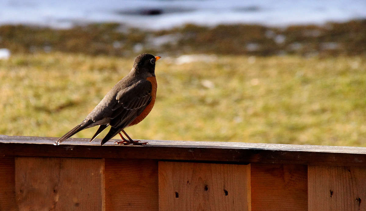 ���� �� �������� ����� ����� �������  �� PhotoGeek.ru #����� #�������� ���