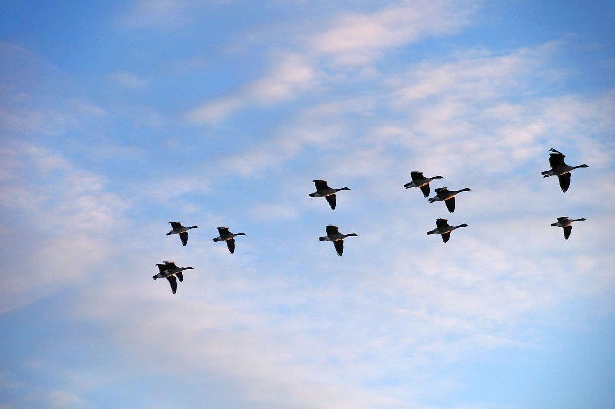 ��� ��������� ������ ����� �������  �� PhotoGeek.ru #�������� ���