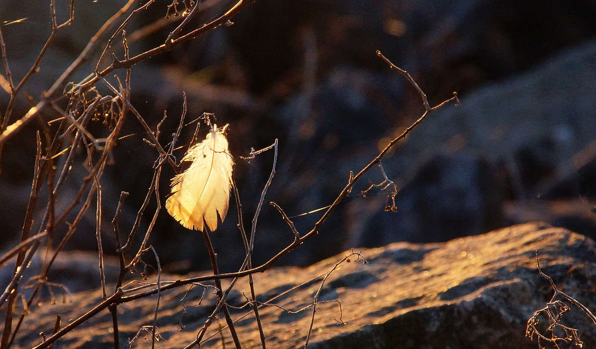 ����� ������� ���� ����� �������  �� PhotoGeek.ru #������ ��� �������