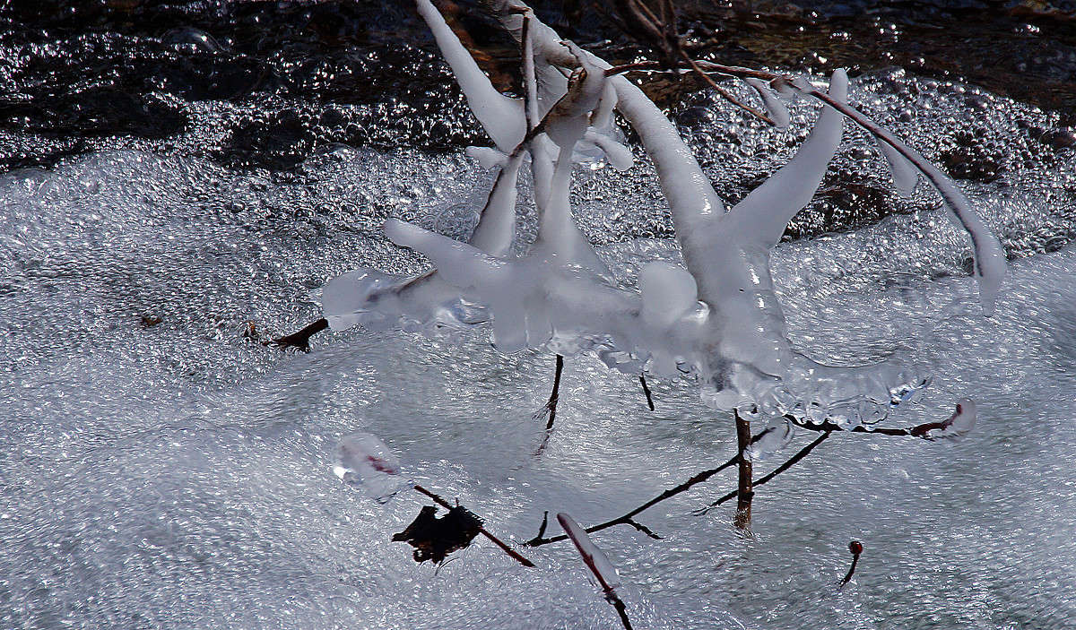 ����� � ������� ����� �������  �� PhotoGeek.ru #������ ��� �������