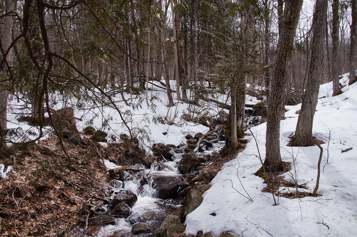 ���� ��� ������ ����� �������  �� PhotoGeek.ru #������ ��� �������