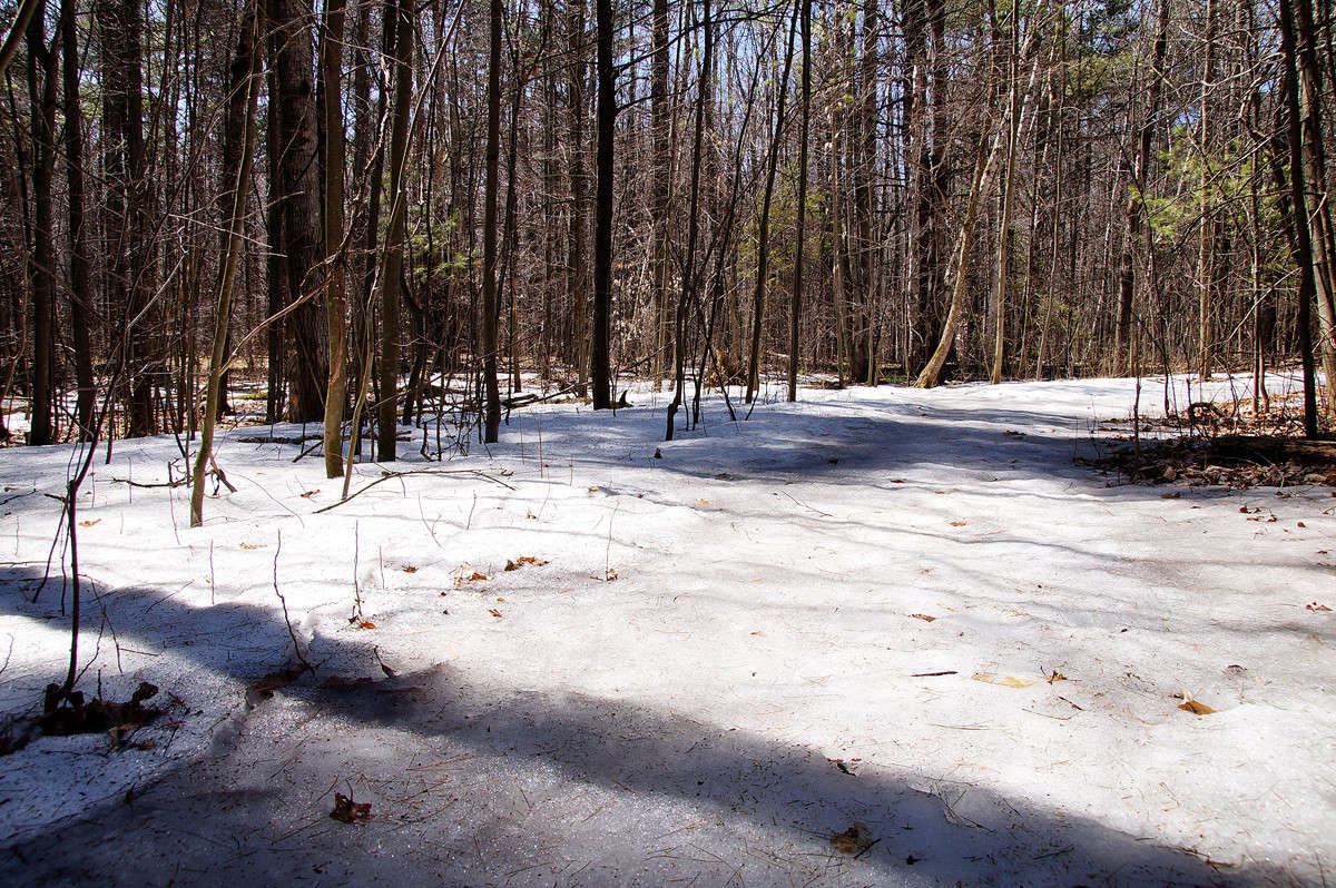 ��� - ������� ���� 25!!! ����� �������  �� PhotoGeek.ru #������ ��� �������