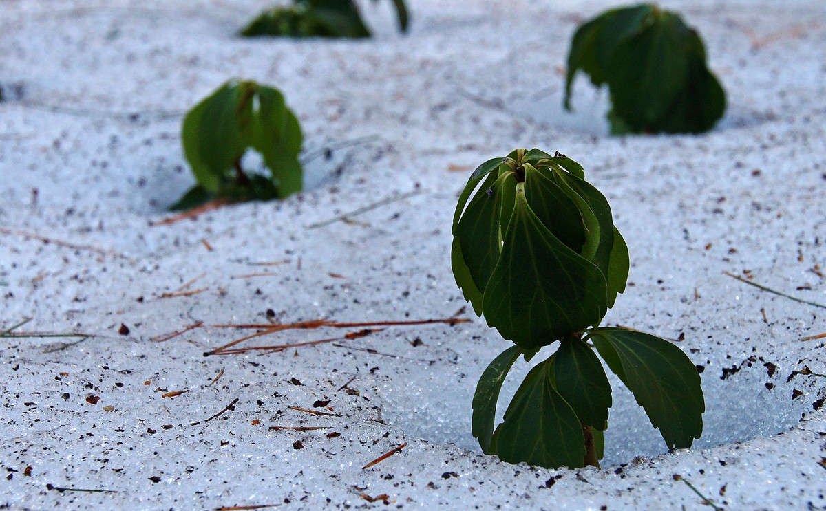 ����� ���� ����������� ����� �������  �� PhotoGeek.ru #������ ��� �������