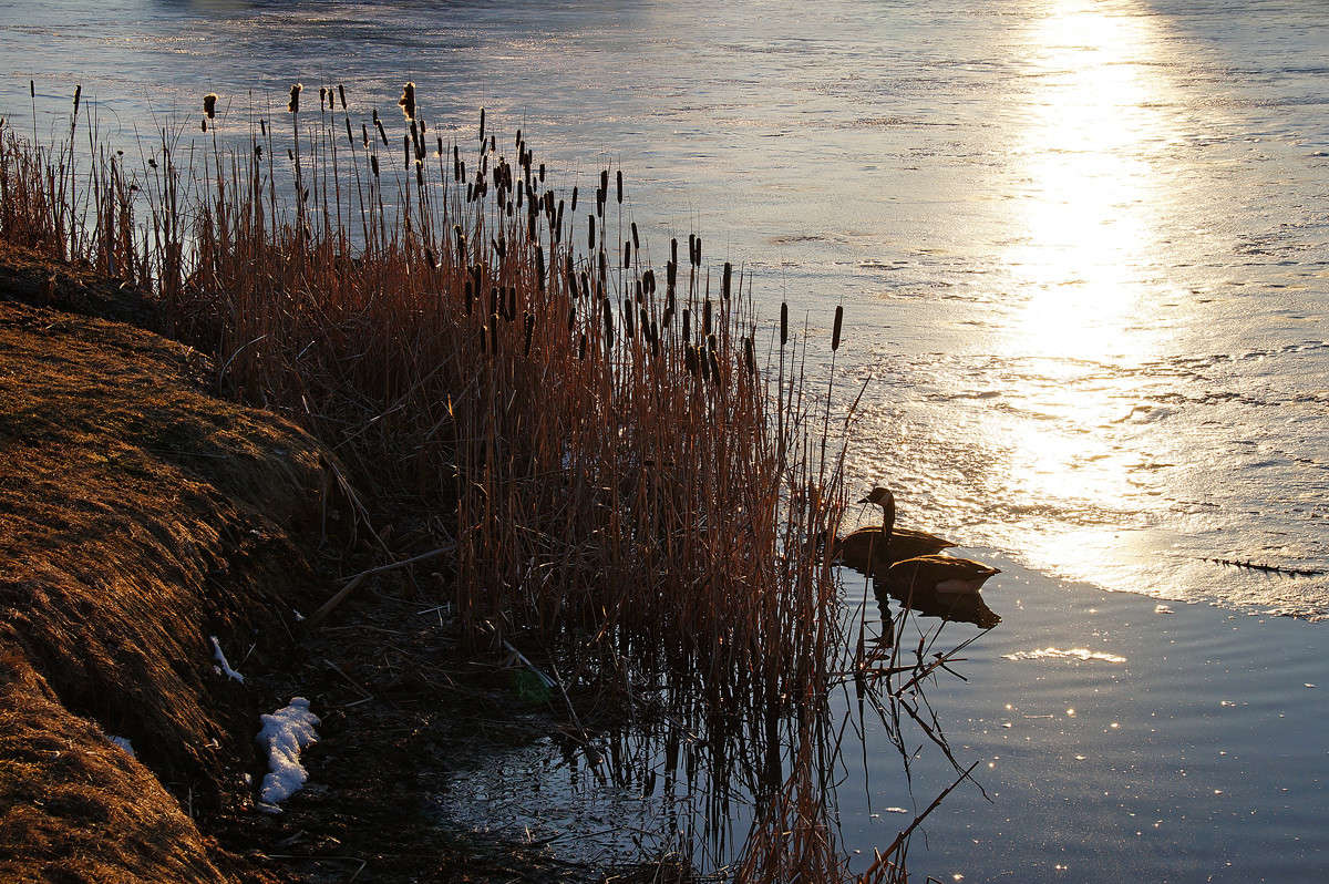 ����������� ������� ���� ����� �������  �� PhotoGeek.ru #�������� ��� #������ ��� �������