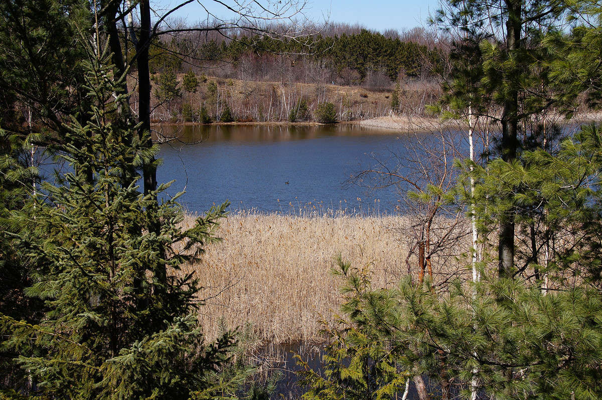 ������������ ����� �������  �� PhotoGeek.ru #������ ��� �������