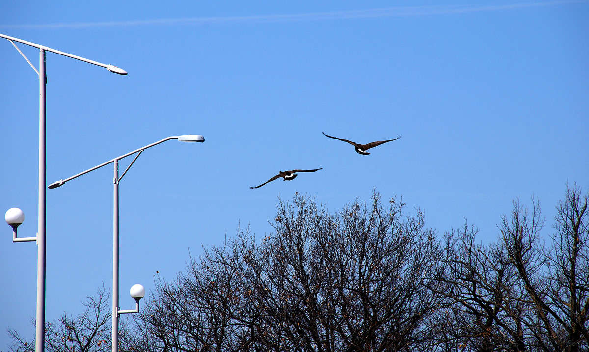 ������� ����� �������  �� PhotoGeek.ru #����� #�������� ���