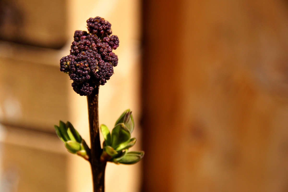 ����� ���� ����� ����� �������  �� PhotoGeek.ru #������ ��� �������