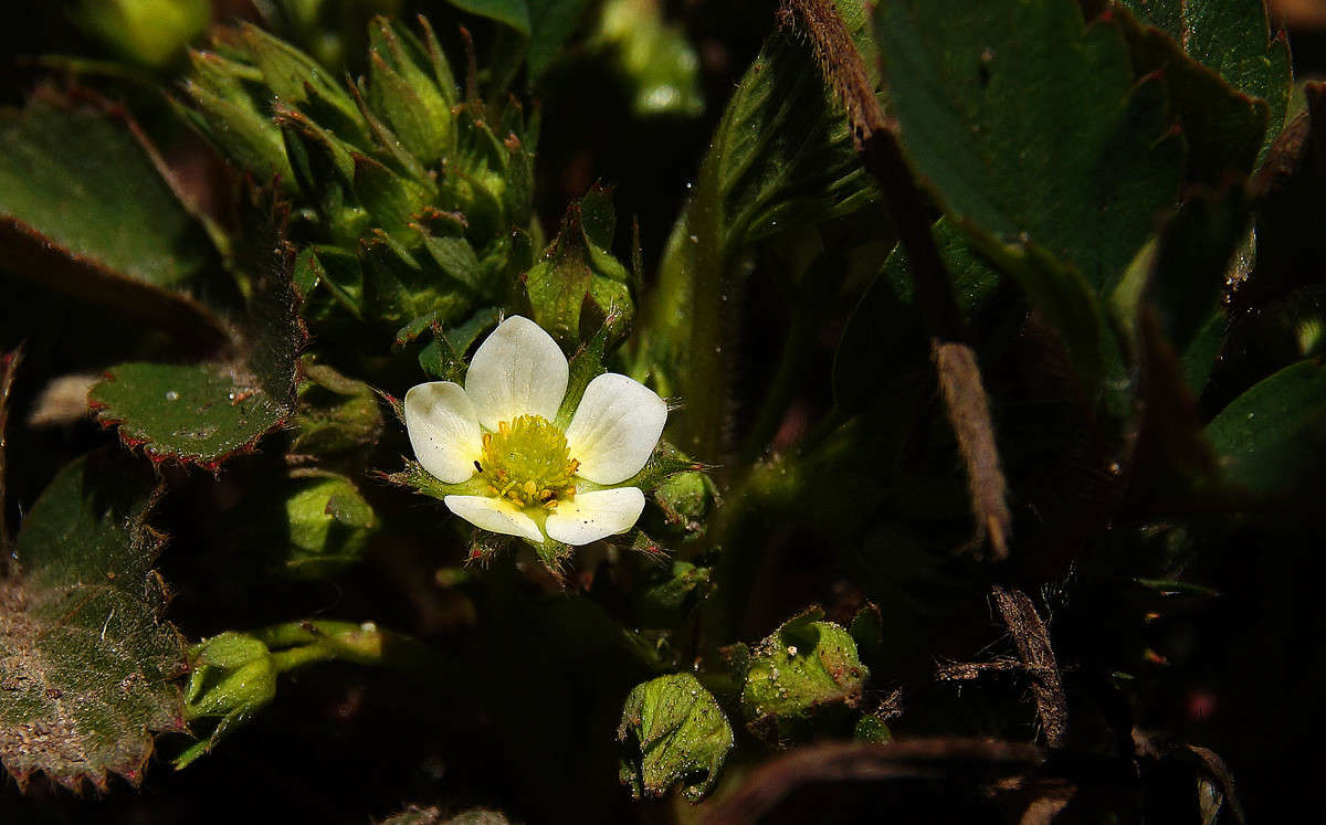 ������� �� ������� ����� �������  �� PhotoGeek.ru #������ ��� �������