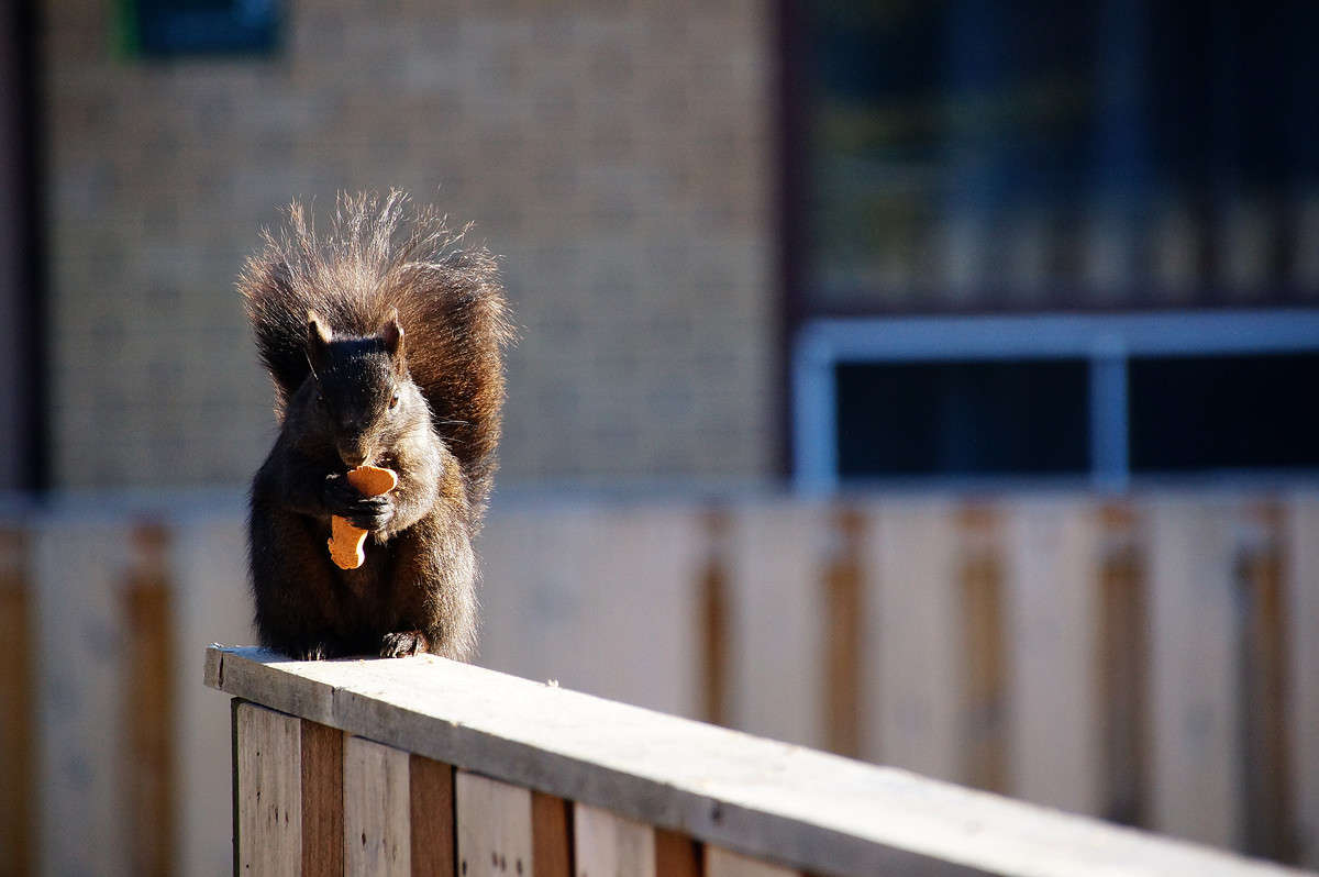 ������ ��� �� ... ����� �������  �� PhotoGeek.ru #�������� ���