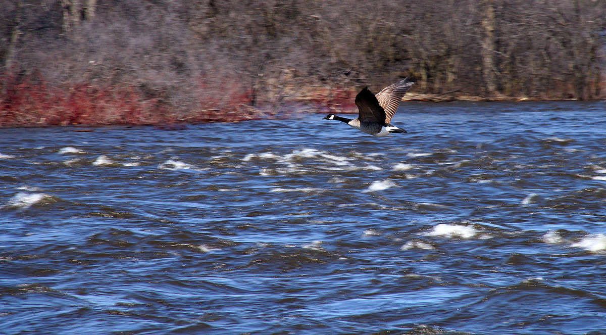 ��������� ������� ����� �������  �� PhotoGeek.ru #�������� ���