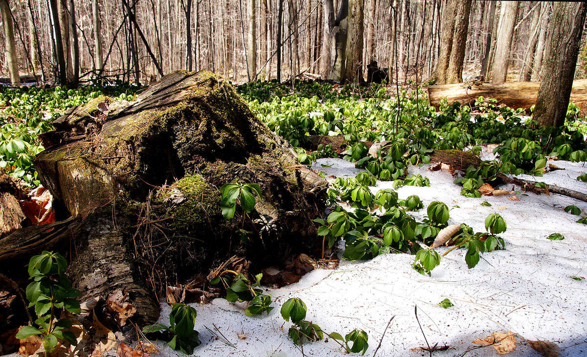 ������ ������� ����� �������  �� PhotoGeek.ru #������ ��� �������