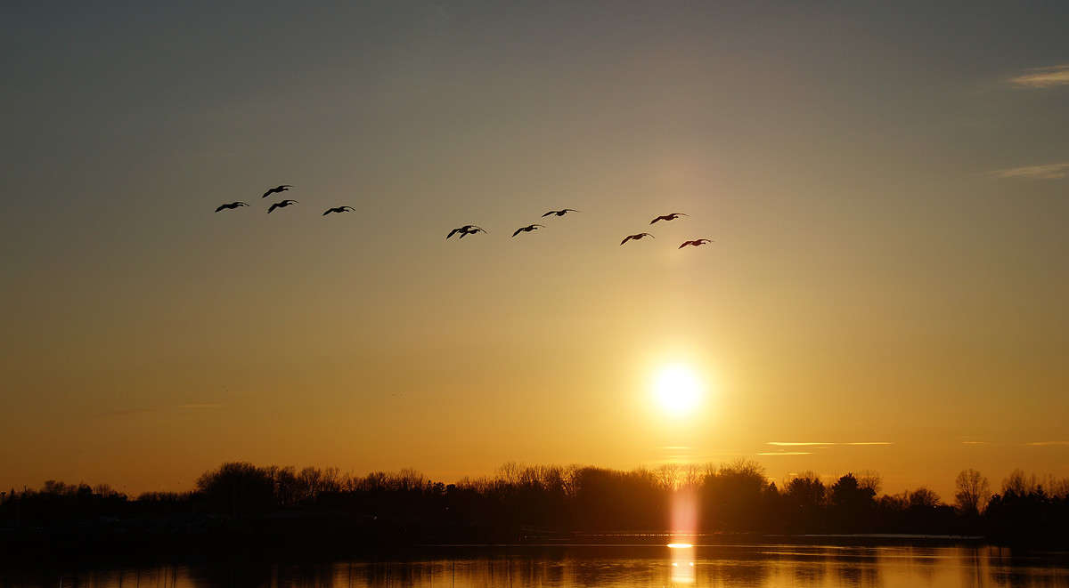 ���������� ������ ��� ����� �������  �� PhotoGeek.ru #������ ��� �������