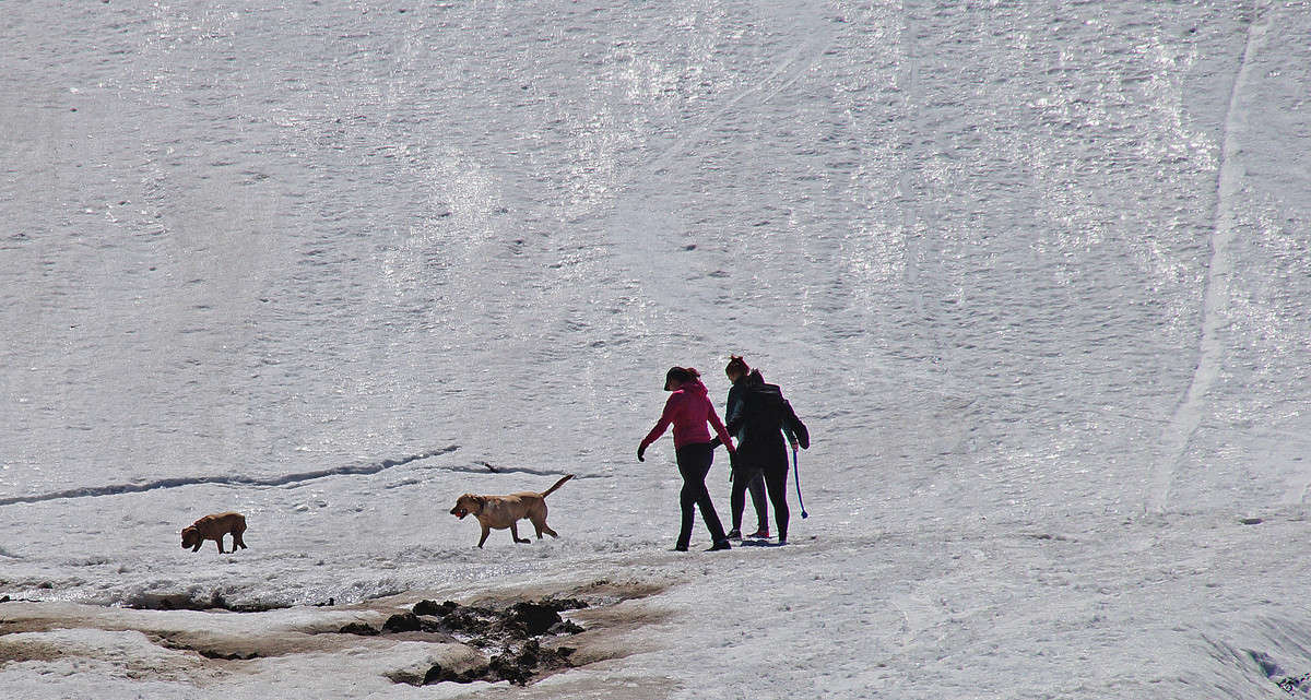 � �������� ������� ����� �������  �� PhotoGeek.ru #������ ��� ������� #�������� ����������