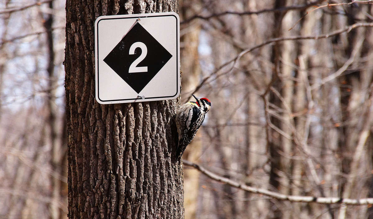 �������� ����� �������  �� PhotoGeek.ru #�������� ���