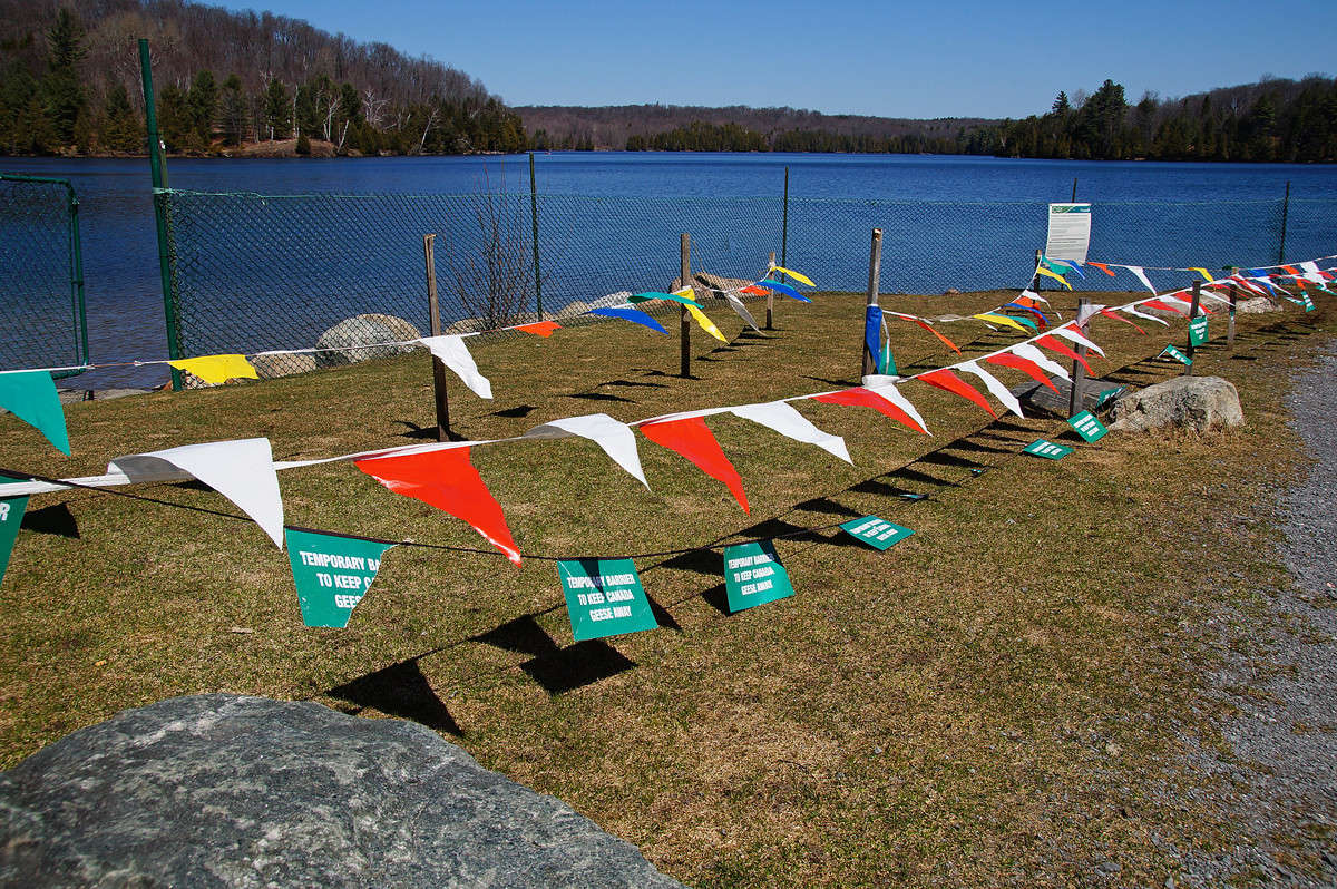 ����, ���� - �� �� �� ����� �������  �� PhotoGeek.ru #�������� ����������