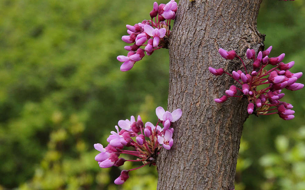 ������� ����� �������  �� PhotoGeek.ru #������ ��� �������