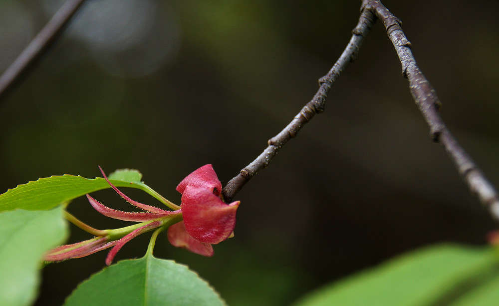 ������ ����� �������  �� PhotoGeek.ru #������ ��� �������