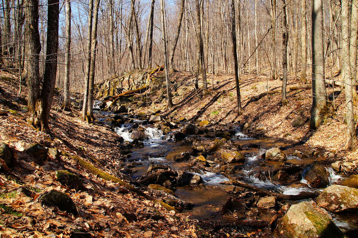 ���� ����� ���� ����� �������  �� PhotoGeek.ru #������ ��� �������