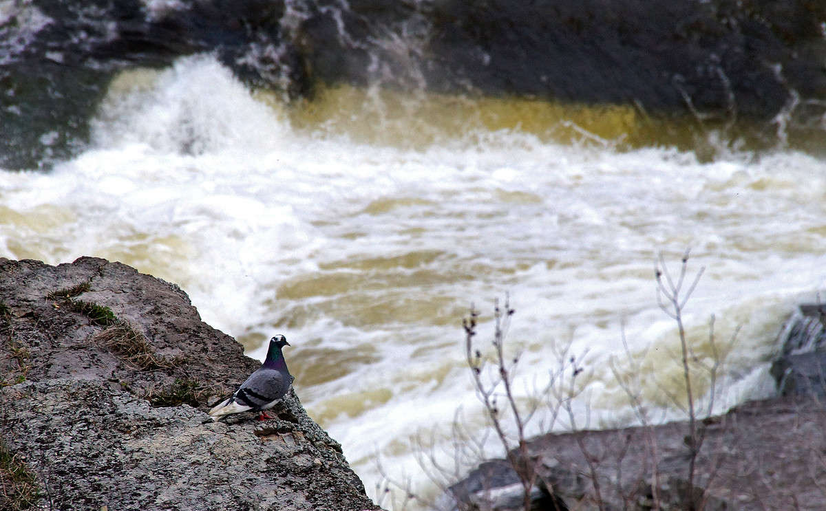 ����� �� ��� ������� ���� ����� �������  �� PhotoGeek.ru #�������� ��� #������ ��� �������