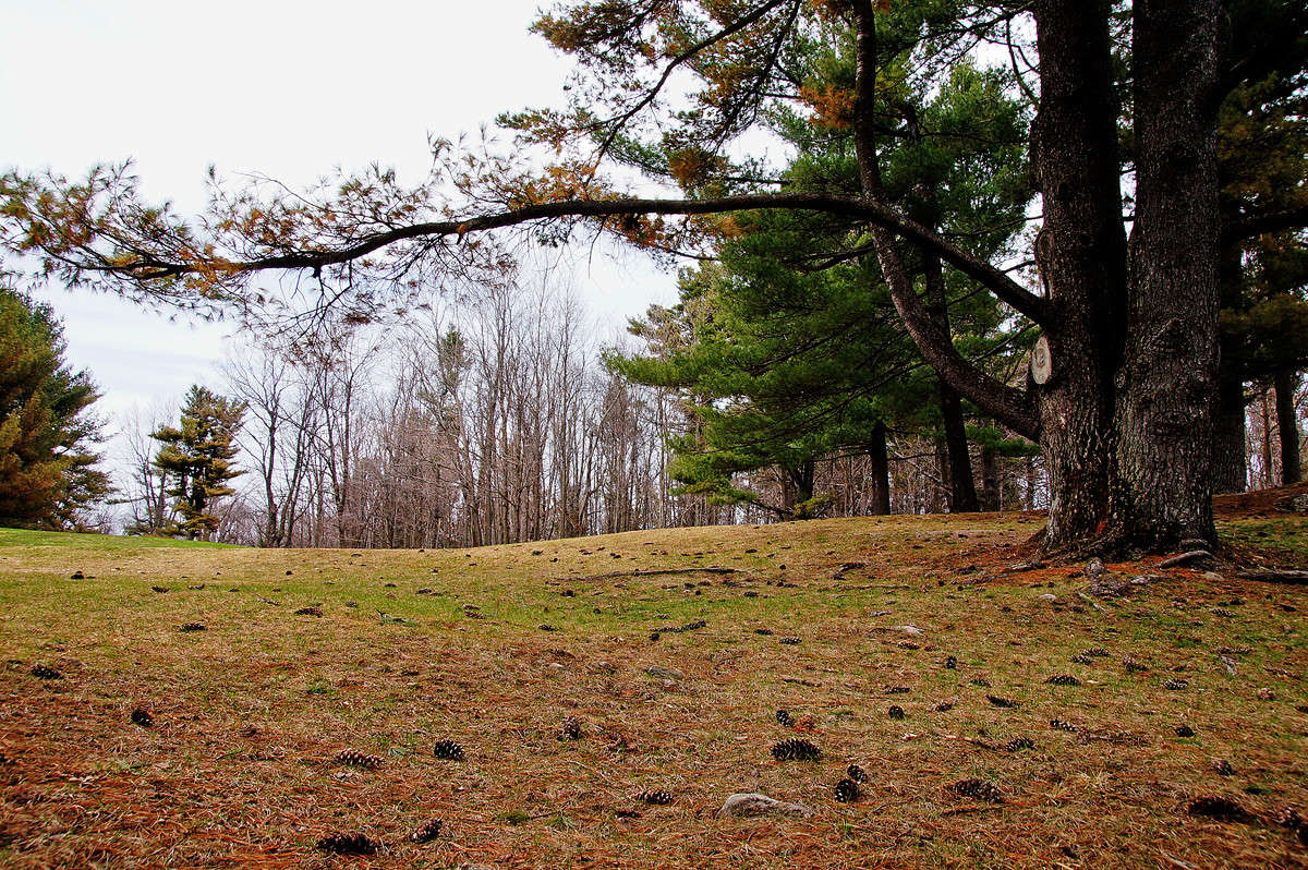 �������� ����� �������  �� PhotoGeek.ru #������ ��� �������