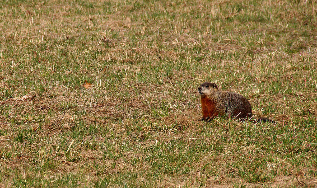 ������ ����� ����� �������  �� PhotoGeek.ru #�������� ���