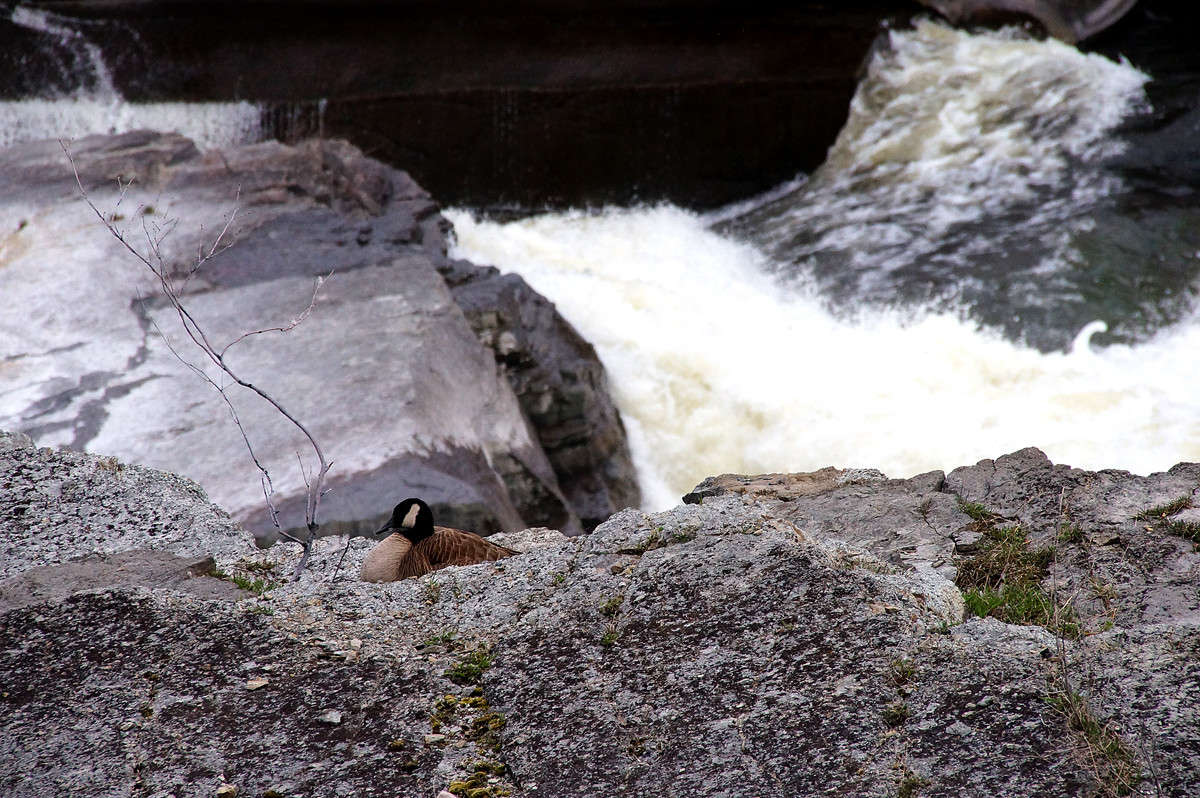 ������ � ������� ������ ����� �������  �� PhotoGeek.ru #�������� ��� #������ ��� �������