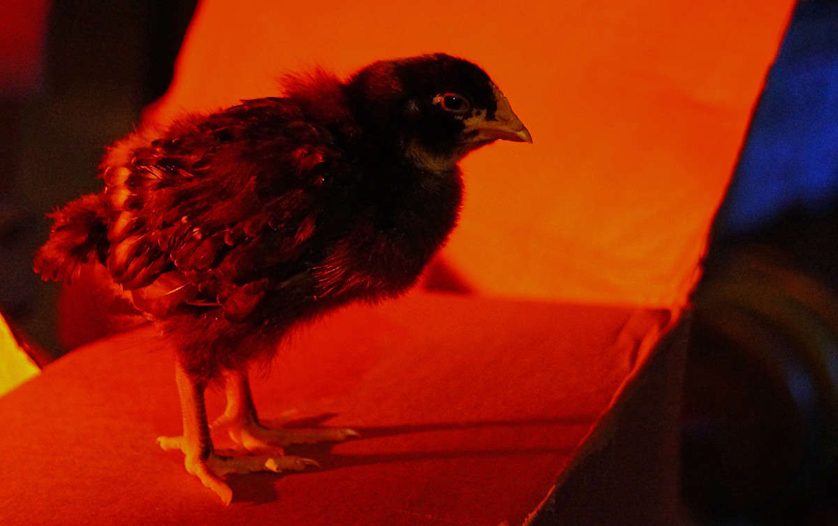 ������������� ���� ����� �������  �� PhotoGeek.ru #�������� ���